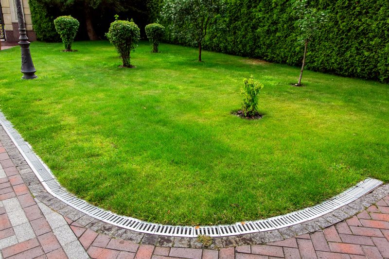 Backyard Drainage Repair